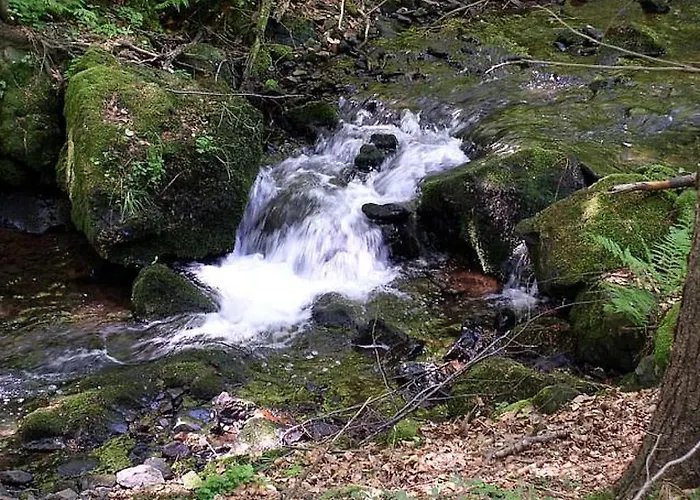 Casa vacanze Guest Comfort *