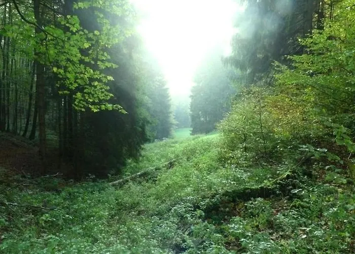 Guest Comfort Casa vacanze *