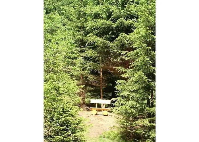 Guest Comfort * Vesser